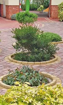 Patio Designs